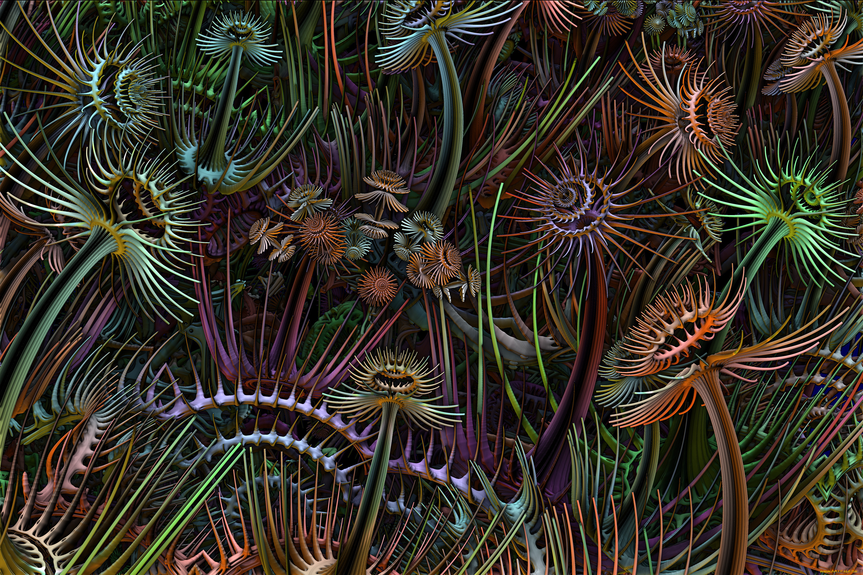 3, , fractal, , , , 